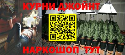 гидра Партизанск
