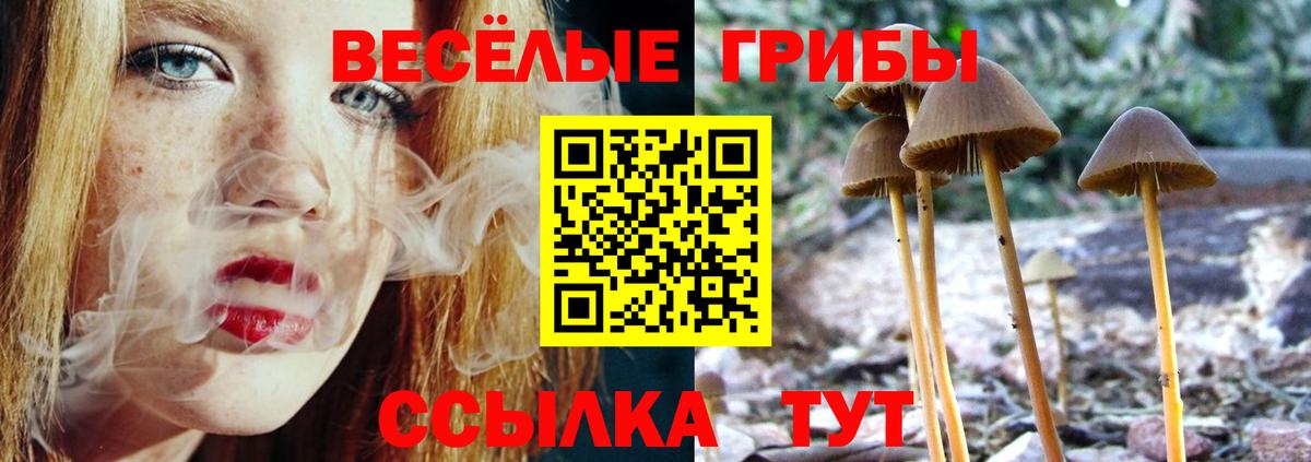 Сокол  купить наркотики сайты  Вход с VPN  Псилоцибиновые грибы GOLDEN TEACHER 